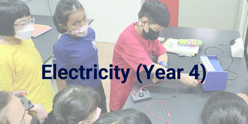 elc_Y4_circuits